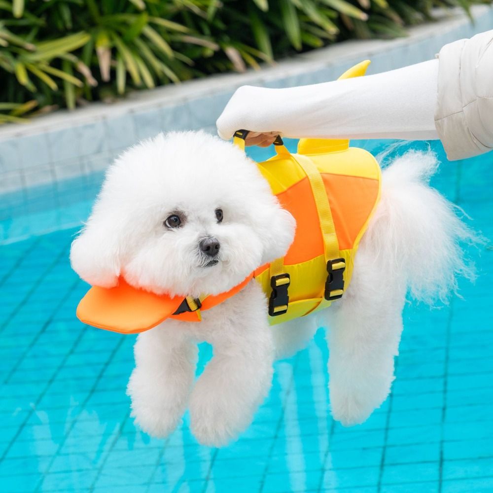 Kamizelka ratunkowa dla psa w  – Life Jacket recenzja i cena